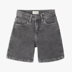 Boy's Regular Fit Distressed Shorts