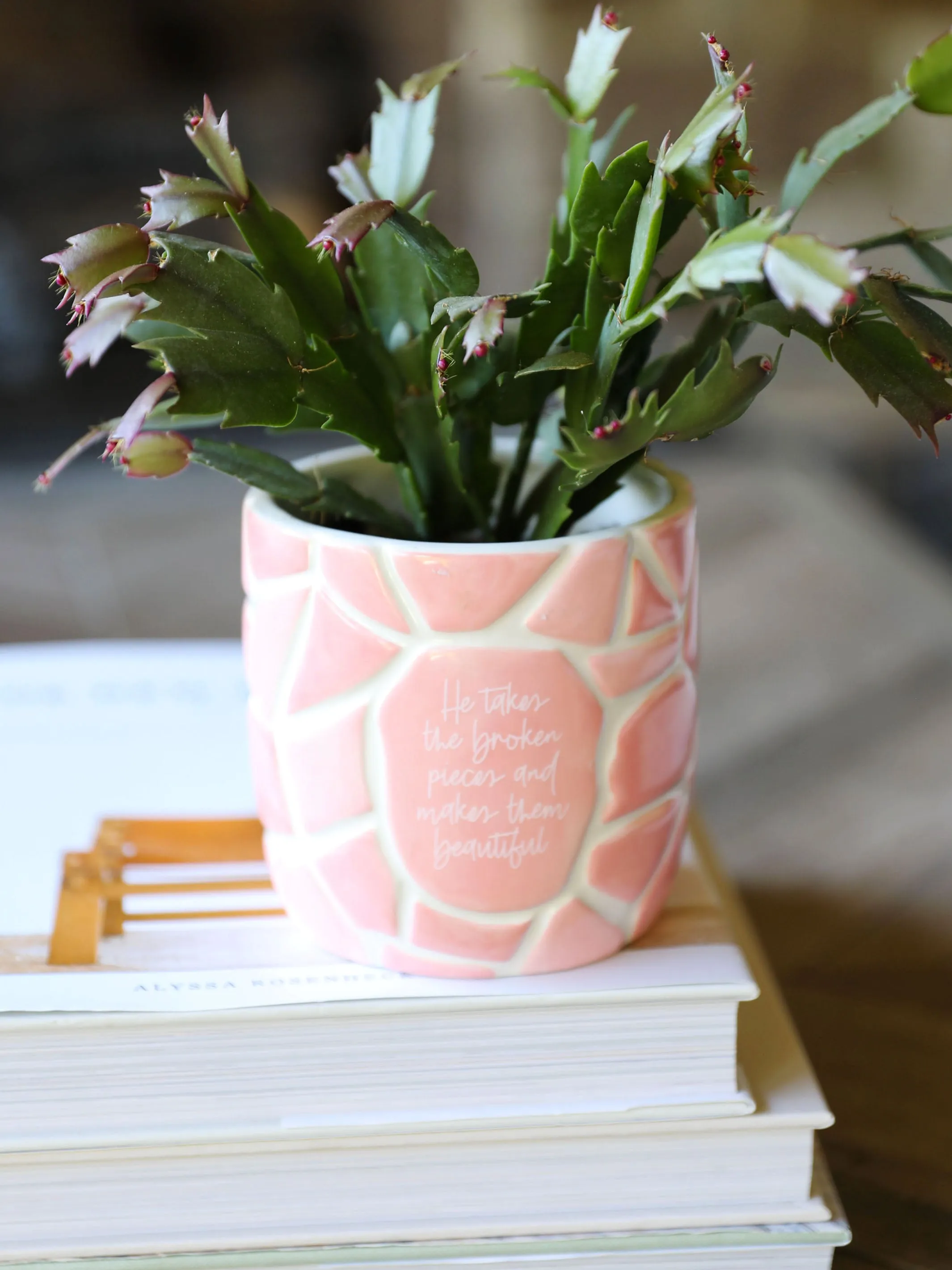 Mended Soul Planter | Pink